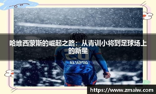 威廉希尔williamhill