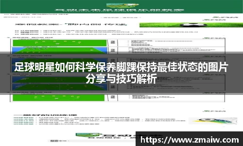 威廉希尔williamhill中文